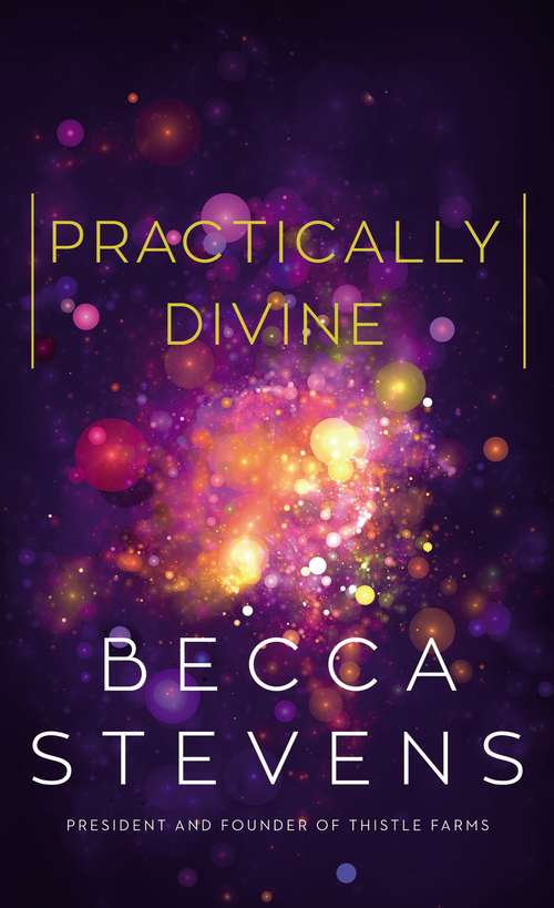 Book cover of Practically Divine