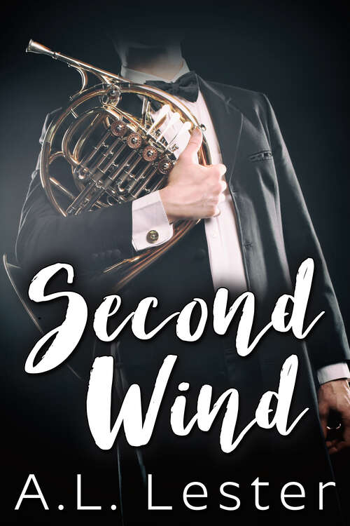 Book cover of Second Wind