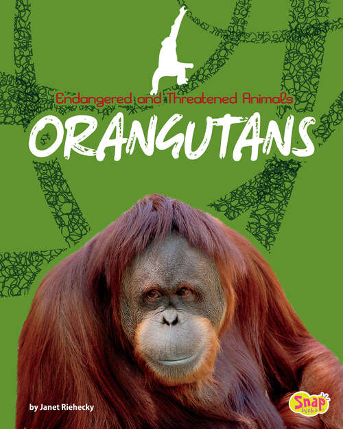 Book cover of Orangutans (Endangered And Threatened Animals)