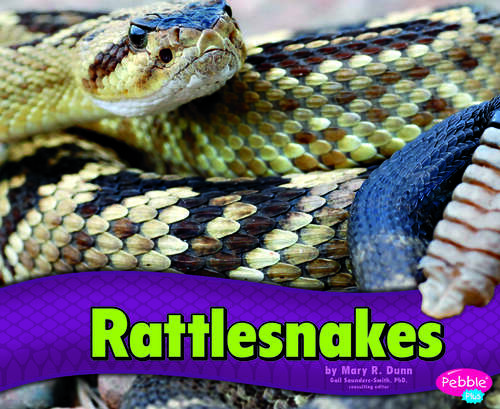 Book cover of Rattlesnakes (Snakes Ser.)