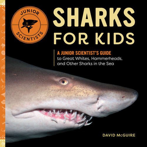 Book cover of Sharks for Kids: A Junior Scientist's Guide to Great Whites, Hammerheads, and Other Sharks in the Sea (Junior Scientists)