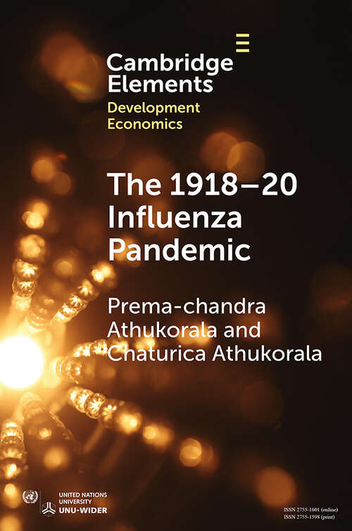 Book cover of The 1918–20 Influenza Pandemic: A Retrospective in the Time of COVID-19 (Elements in Development Economics)