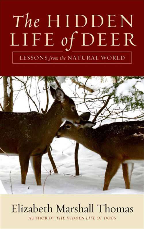 Book cover of The Hidden Life of Deer: Lessons from the Natural World