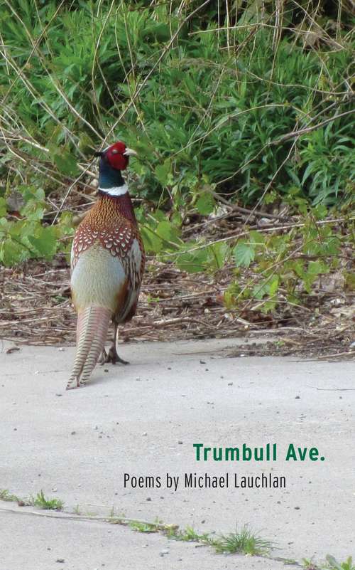 Book cover of Trumbull Ave. (Made in Michigan Writers Series)