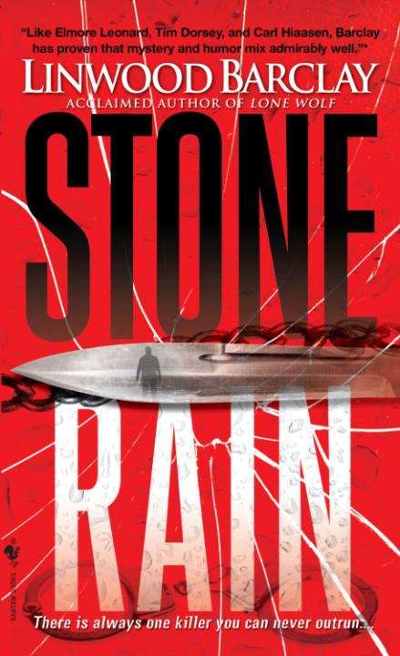 Book cover of Stone Rain (Zack Walker #4)