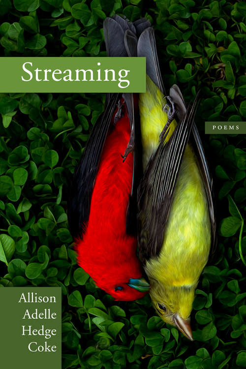 Book cover of Streaming