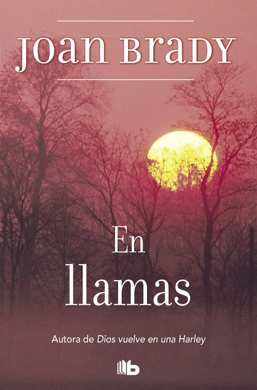 Book cover of En llamas