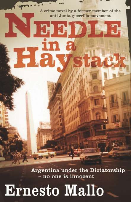 Book cover of Needle in a Haystack