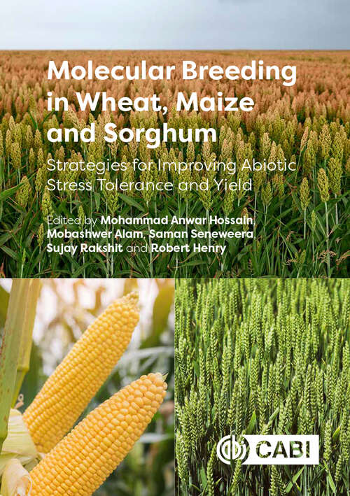 Book cover of Molecular Breeding in Wheat, Maize and Sorghum: Strategies for Improving Abiotic Stress Tolerance and Yield