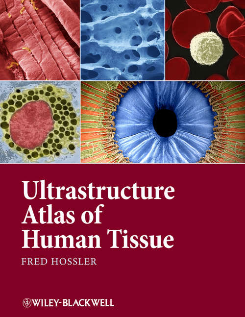 Book cover of Ultrastructure Atlas of Human Tissues