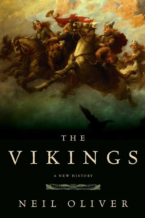 Book cover of The Vikings: A New History