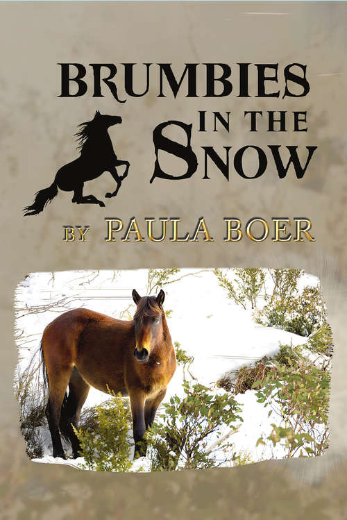 Book cover of Brumbies in the Snow (Brumbies #2)