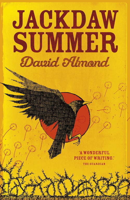 Book cover of Jackdaw Summer