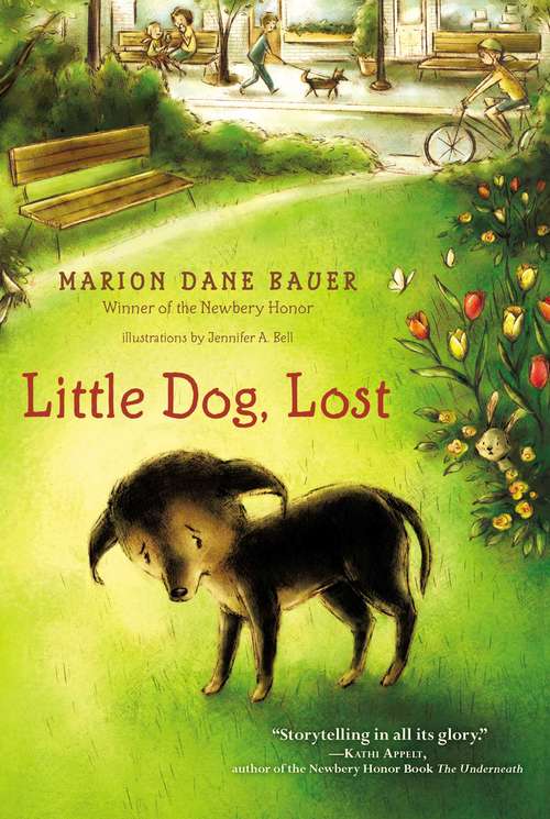Book cover of Little Dog, Lost