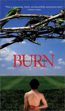 Book cover of Burn