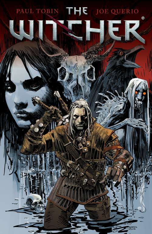 Book cover of The Witcher Volume 1 (The Witcher)