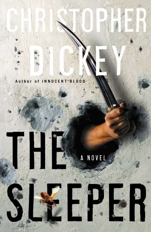 Book cover of The Sleeper: A Novel