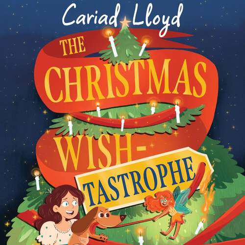 Book cover of The Christmas Wish-tastrophe: A magical festive adventure to entertain the whole family!