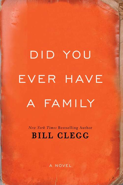 Book cover of Did You Ever Have a Family: A Novel