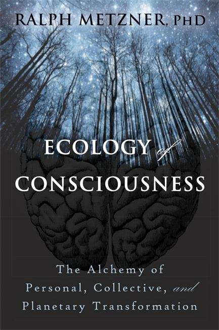 Book cover of Ecology of Consciousness: The Alchemy of Personal, Collective, and Planetary Transformation