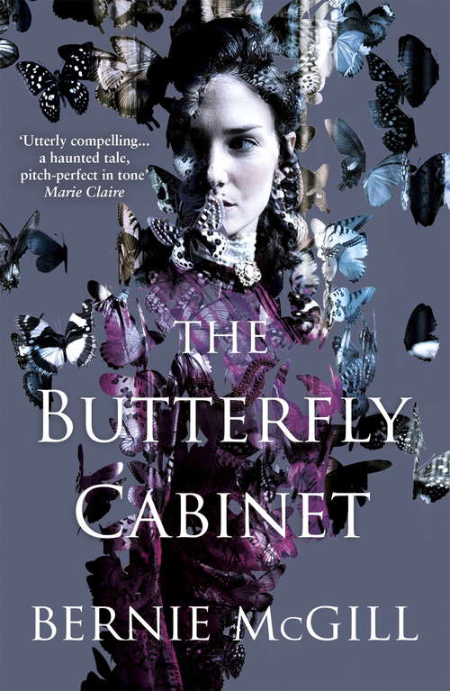 Book cover of The Butterfly Cabinet