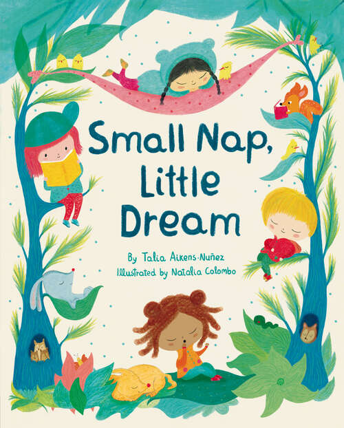 Book cover of Small Nap, Little Dream