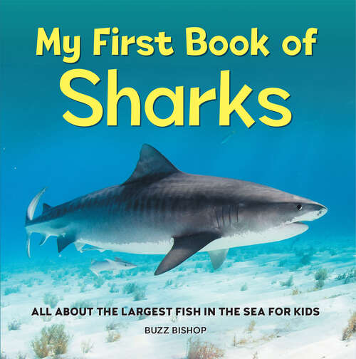 Book cover of My First Book of Sharks: All About the Largest Fish in the Sea for Kids (My First Book of)