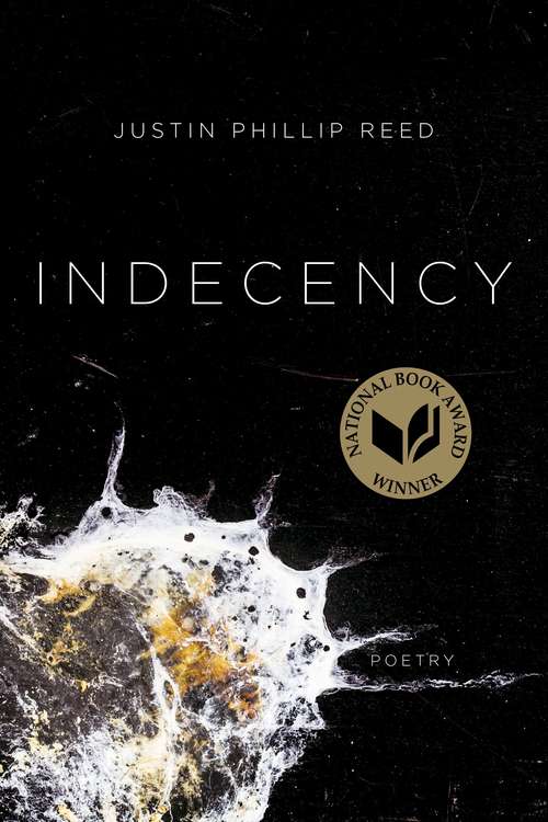 Book cover of Indecency