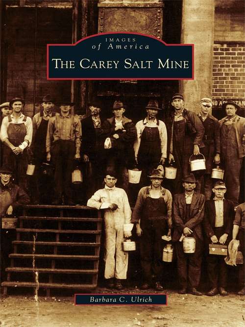 Book cover of Carey Salt Mine, The