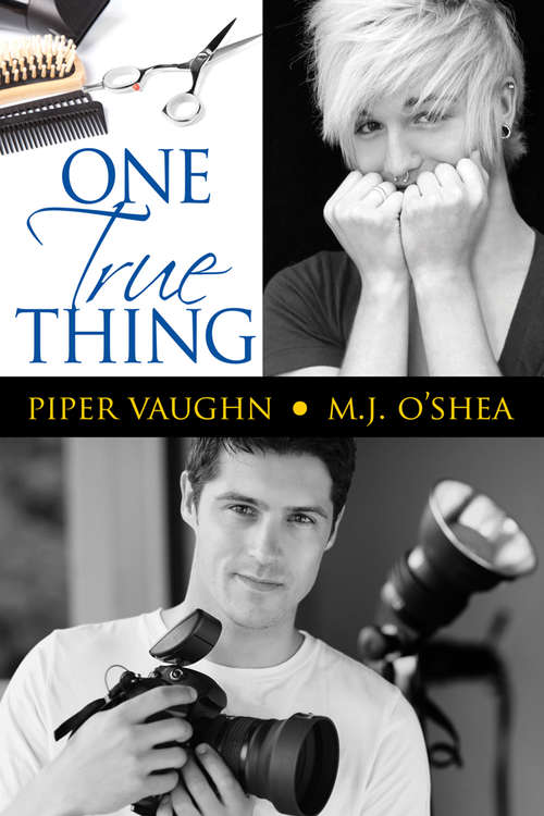 Book cover of One True Thing (One Thing #2)
