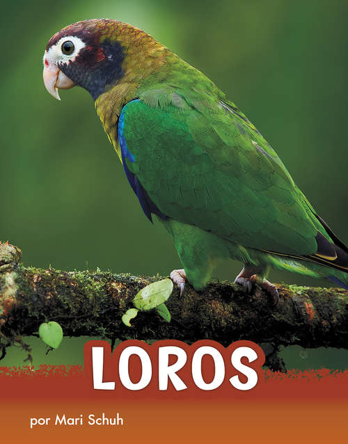 Book cover of Loros (Animals en espanol)