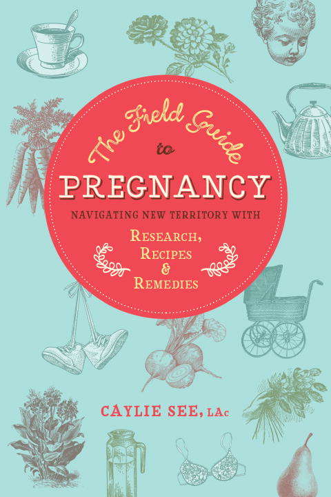 Book cover of The Field Guide to Pregnancy: Navigating New Territory with Research, Recipes, and Remedies