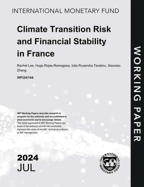 Book cover of Climate Transition Risk and Financial Stability in France (Imf Working Papers)