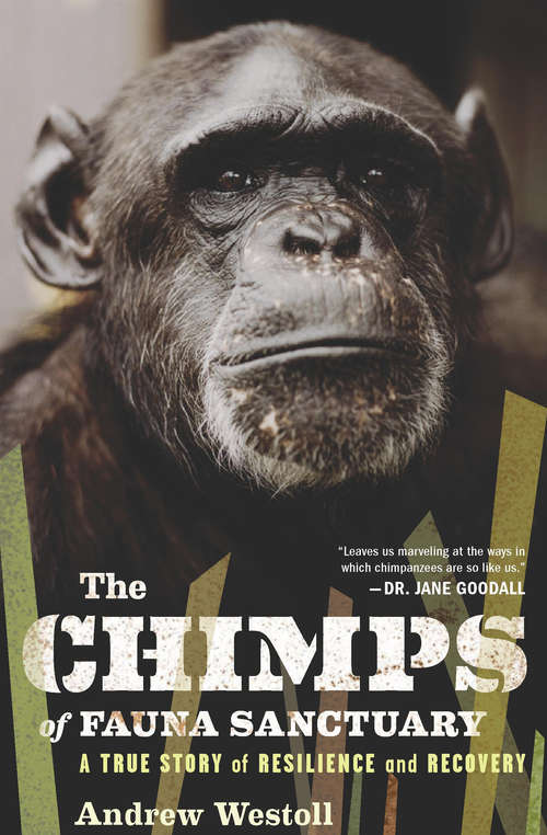 Book cover of The Chimps of Fauna Sanctuary: A True Story of Resilience and Recovery