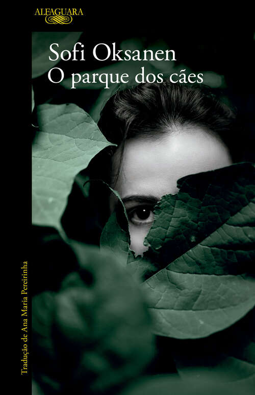 Book cover of O parque dos cães
