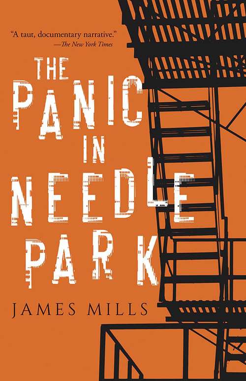 Book cover of The Panic in Needle Park