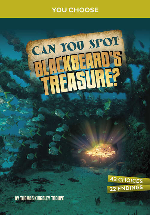 Book cover of Can You Spot Blackbeard's Treasure?: An Interactive Treasure Adventure (You Choose: Treasure Hunters Ser.)