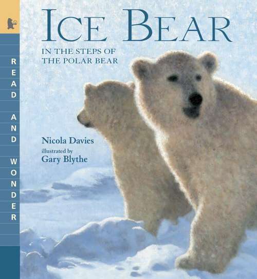 Book cover of Ice Bear: In The Steps Of The Polar Bear