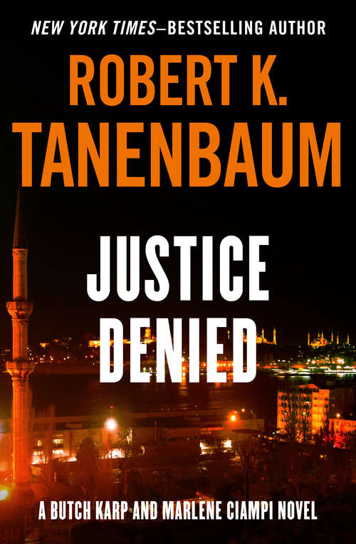 Book cover of Justice Denied: Reversible Error, Material Witness, And Justice Denied (Butch Karp and Marlene Ciampi #7)