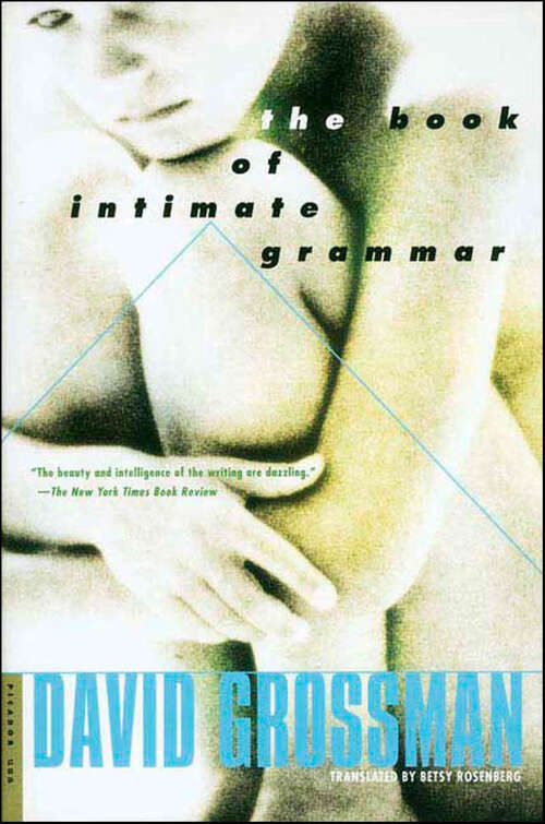 Book cover of The Book of Intimate Grammar: A Novel