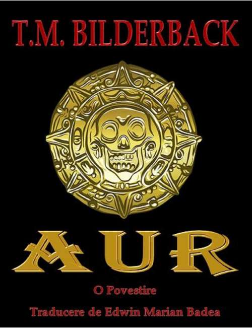 Book cover of Aur