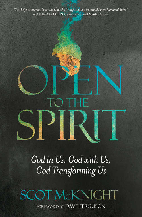 Book cover of Open to the Spirit: God in Us, God with Us, God Transforming Us