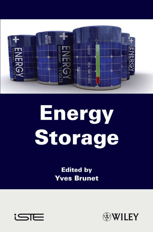 Book cover of Energy Storage