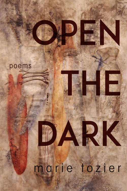 Book cover of Open the Dark: Poems