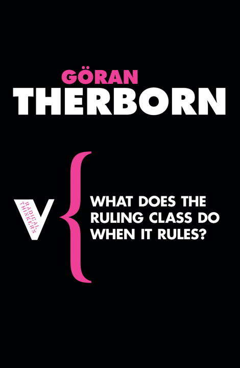 Book cover of What Does the Ruling Class Do When it Rules?: State Apparatuses and State Power under Feudalism, Capitalism and Socialism