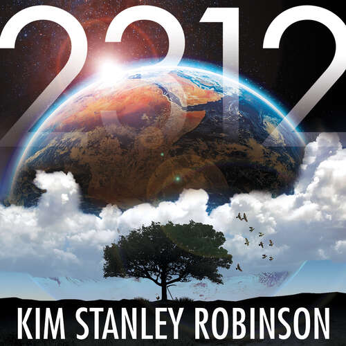 Book cover of 2312