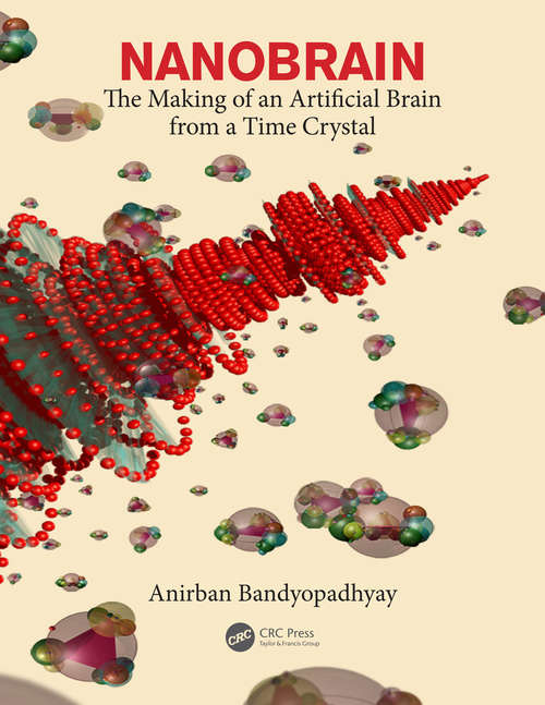 Book cover of Nanobrain: The Making of an Artificial Brain from a Time Crystal