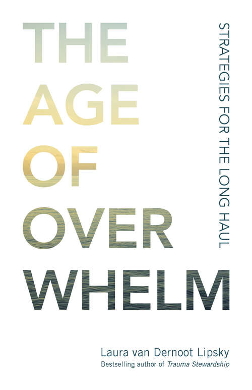 Book cover of The Age of Overwhelm: Strategies for the Long Haul