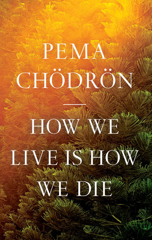 Book cover of How We Live Is How We Die