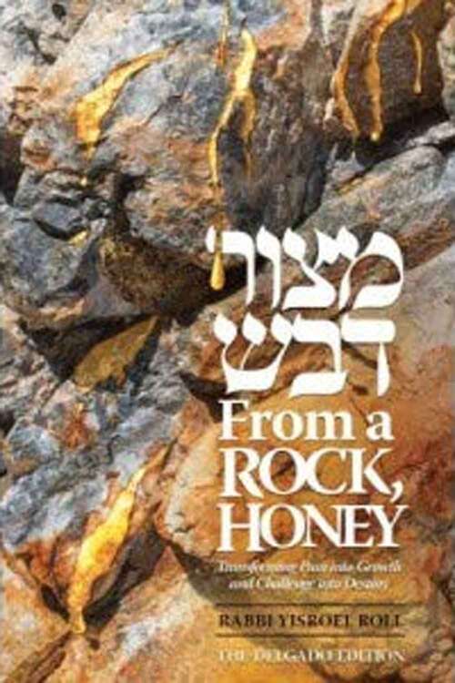 Book cover of From a Rock Honey: Transforming Pain into Growth and Challenge into Destiny